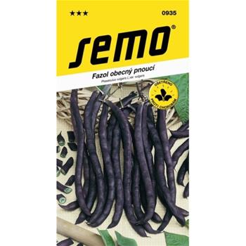 Fazol tyčkový fialový Purple Podded Climbing