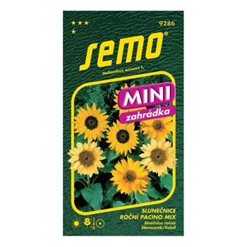 Slunečnice roční Pacino mix MINI