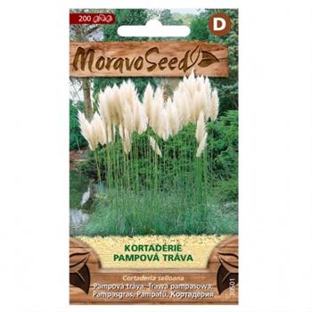 Cortaderia pampova tráva bílá (MS)
