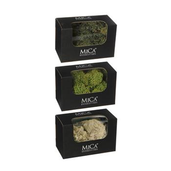 Lišejník balený barvený mix 50g