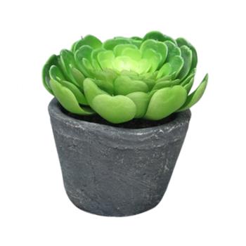 Sukulent hrnkový umělý