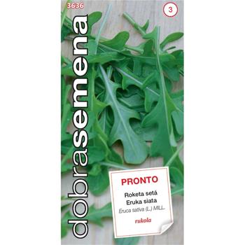 Roketa PRONTO (DS)
