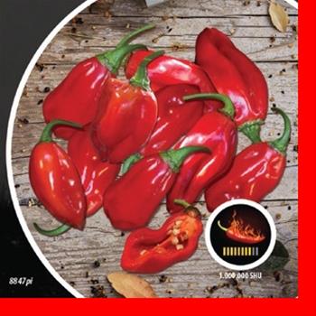 Paprika chilli Rosso PIQUANT