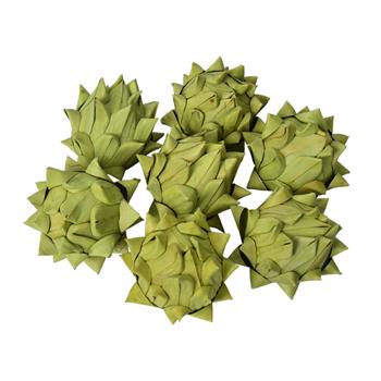 Sušina Khejur Artichoke zelená 2ks