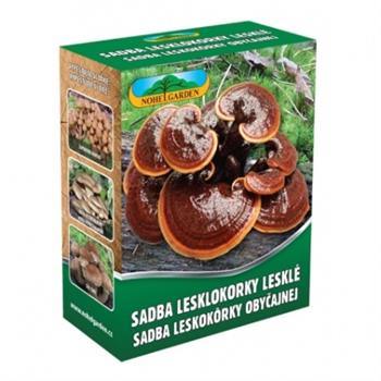 Lesklokorka lesklá sadba 250ml