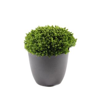 Hebe Green Globe 12 cm