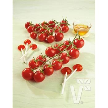 Rajče Solena Red roubované 12cm