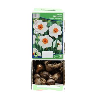 Narcis Barrett Browning 5ks