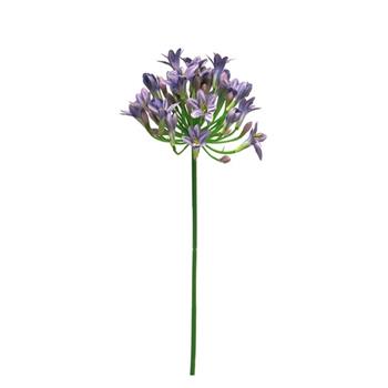 Agapanthus LADY řezaný umělý fialová 75cm