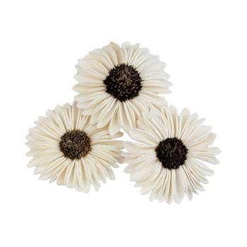 Sušina Sola Splite Sunflower krémová 6cm/3ks
