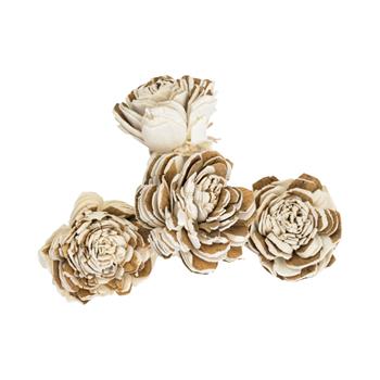 Sušina Sola Multi Beli 4cm/4ks