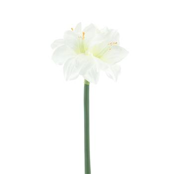 Amarylis RABAT řezaný umělý krémový 65cm