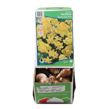 Narcis Amsterdam Mix 5ks