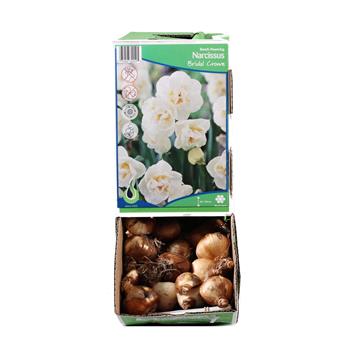 Narcis Bridal Crown 5ks