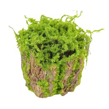 Válec pro aranžování z mechu a kůry 19cm