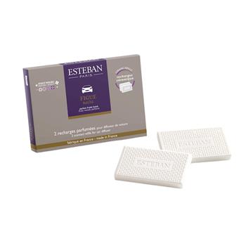 Vůně do auta - náplň CLASSIC Figue Noire 2ks